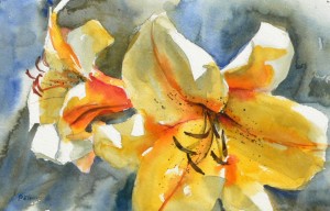 Day Lily Shining 7 X 11 watercolor